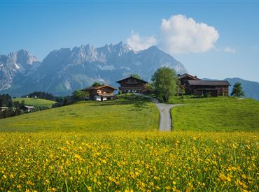 Geführte Wanderungen