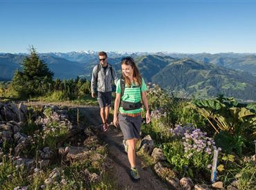 Geführte Wanderung im Herbst